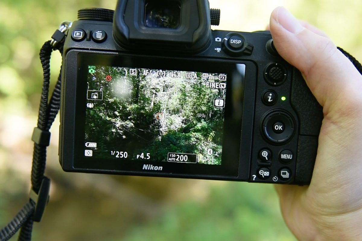 Niknon Z7 Review