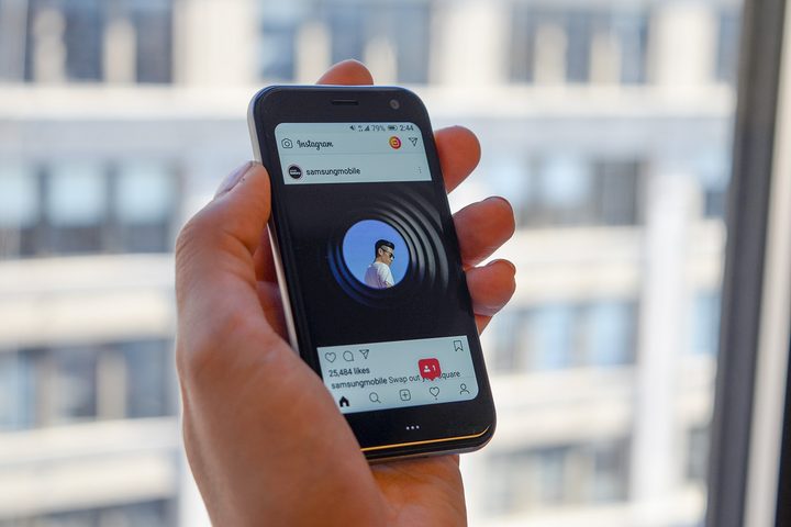 Palm instagram