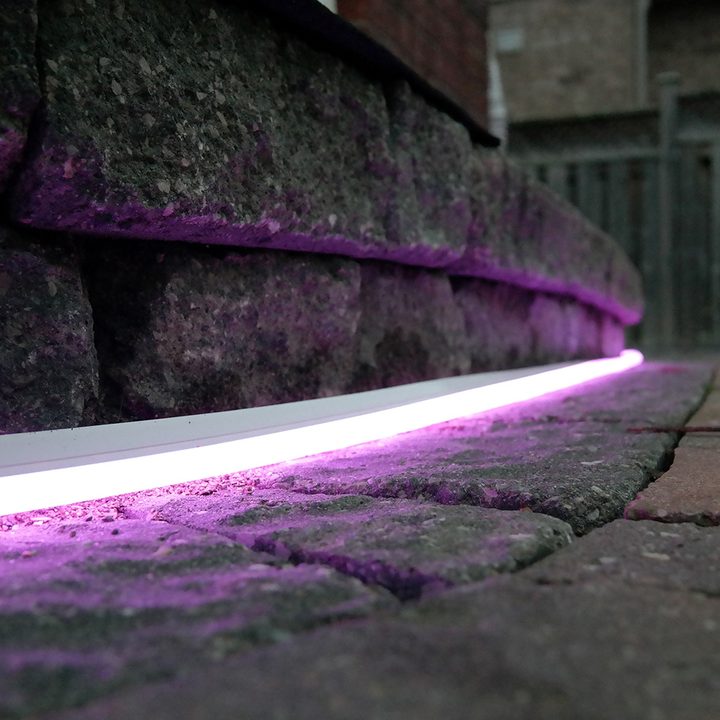 philips hue lightstrip outdoor purple