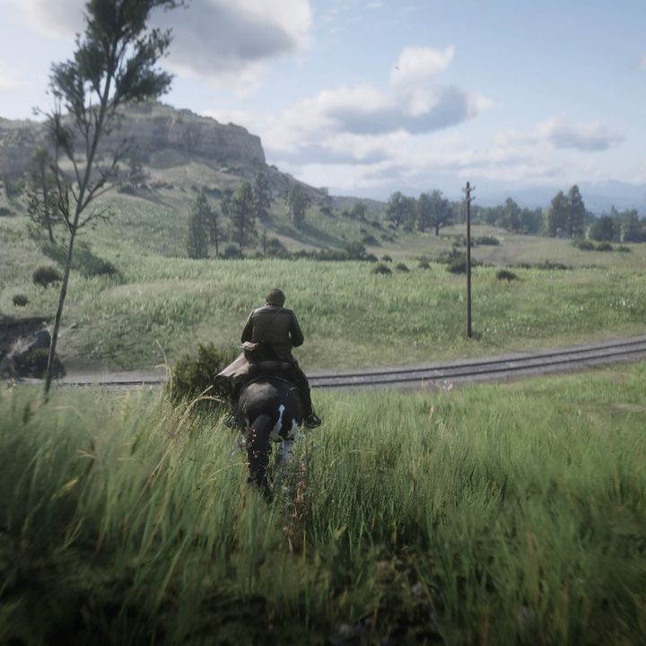 Red Dead Redemption Review
