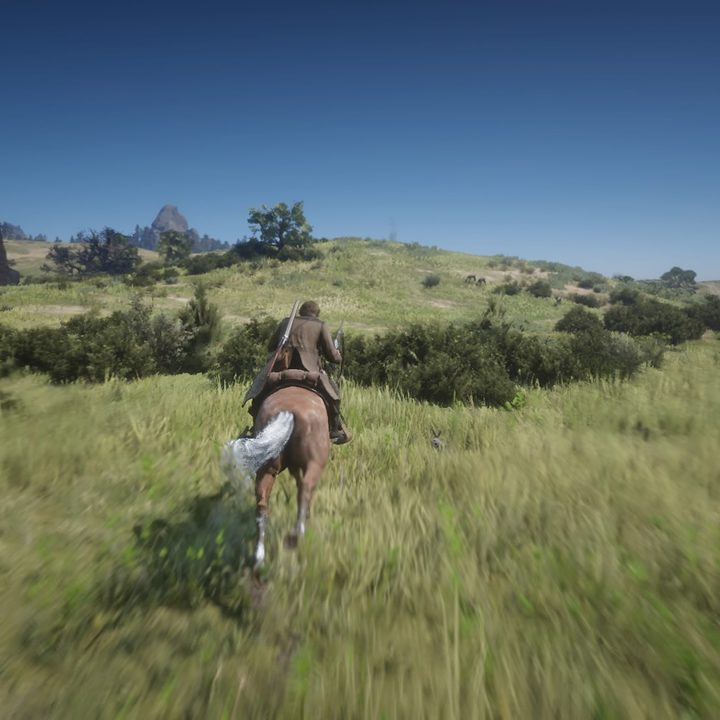 Red Dead Redemption Review
