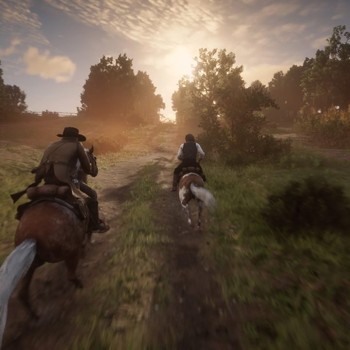 Red Dead Redemption Review