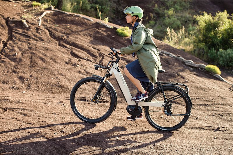 Riese & M&uuml;ller ebikes
