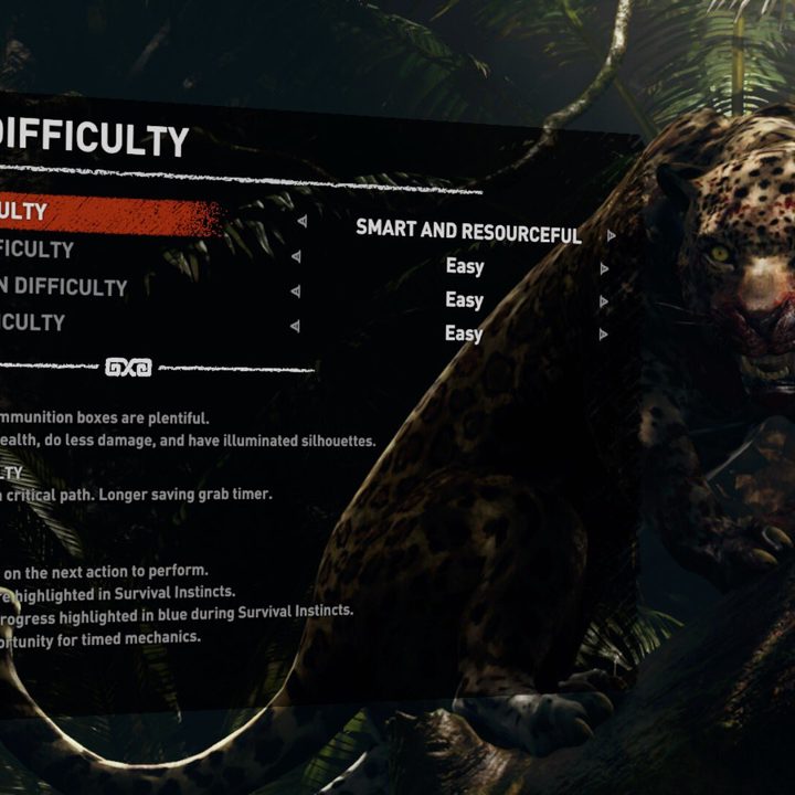 deaf gamers making gaming more accessible shadow of the tomb raider accessibility settings 4