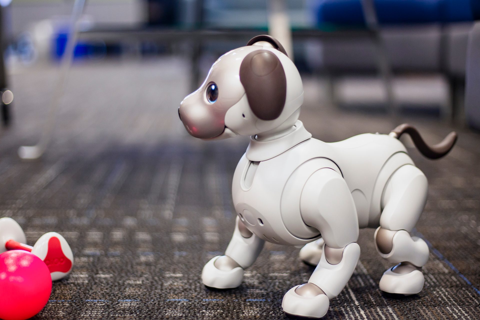 Sony Aibo Robot Dog
