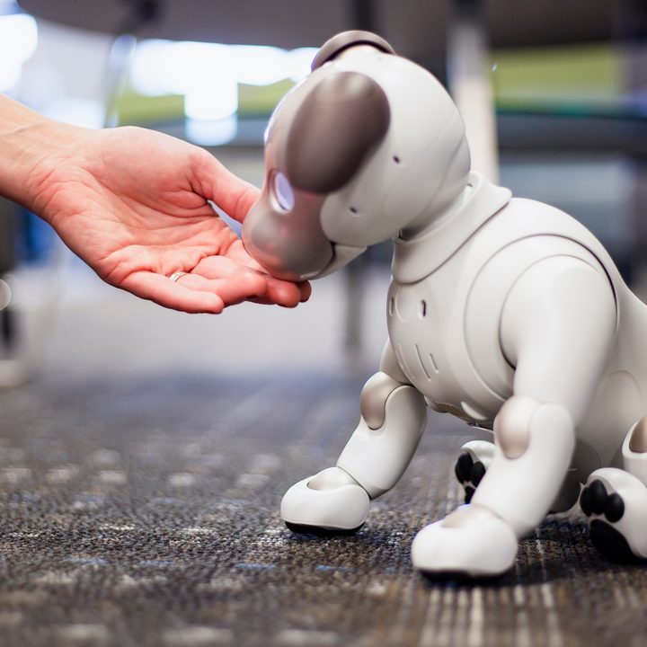 Sony Aibo Robot Dog