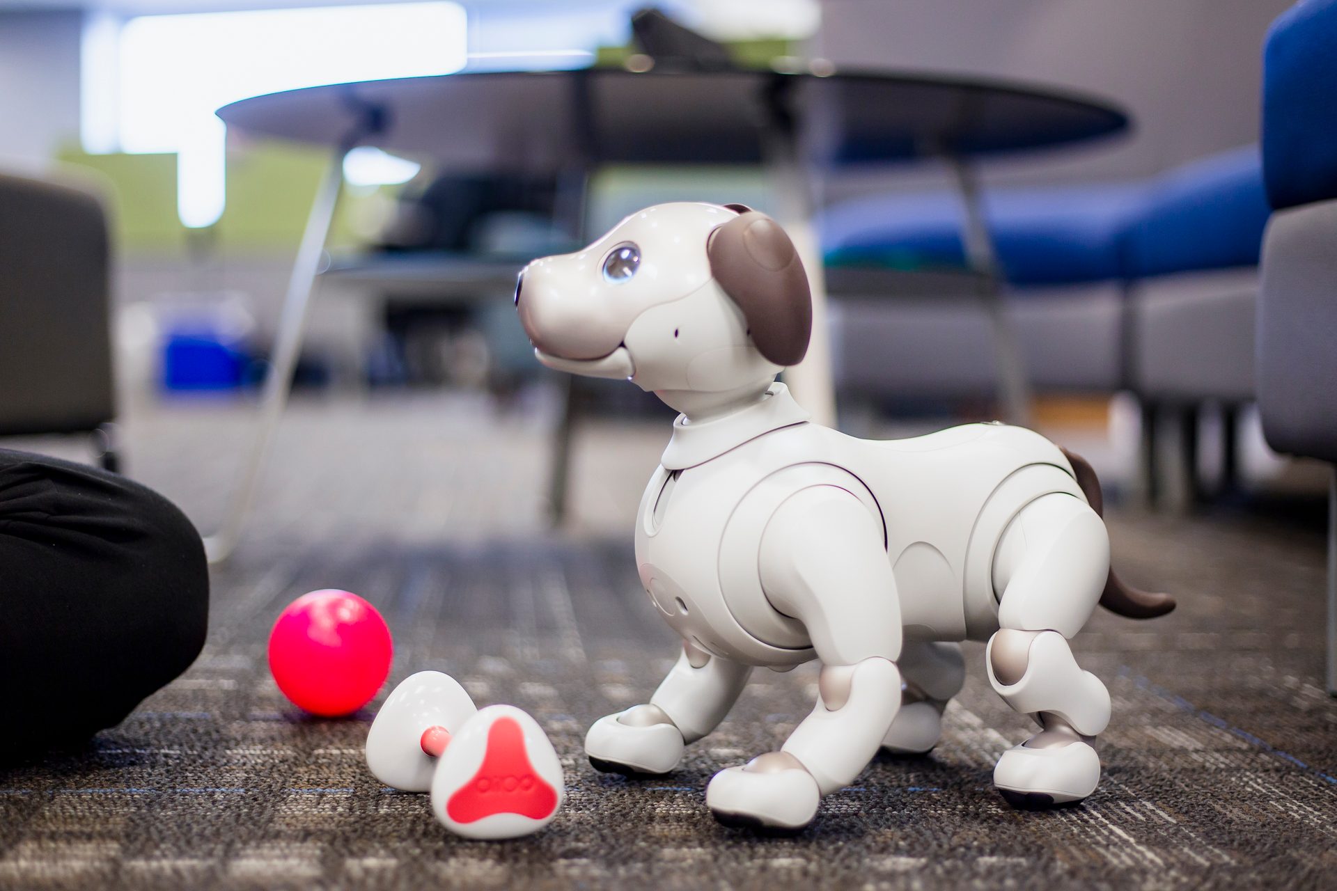 Sony Aibo Robot Dog