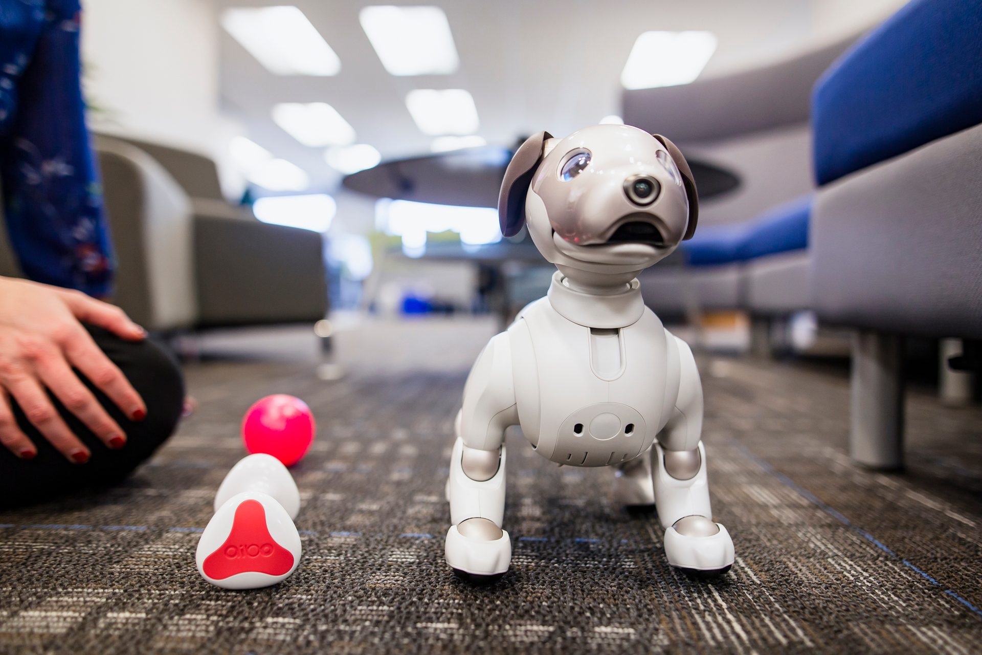 Sony Aibo Robot Dog