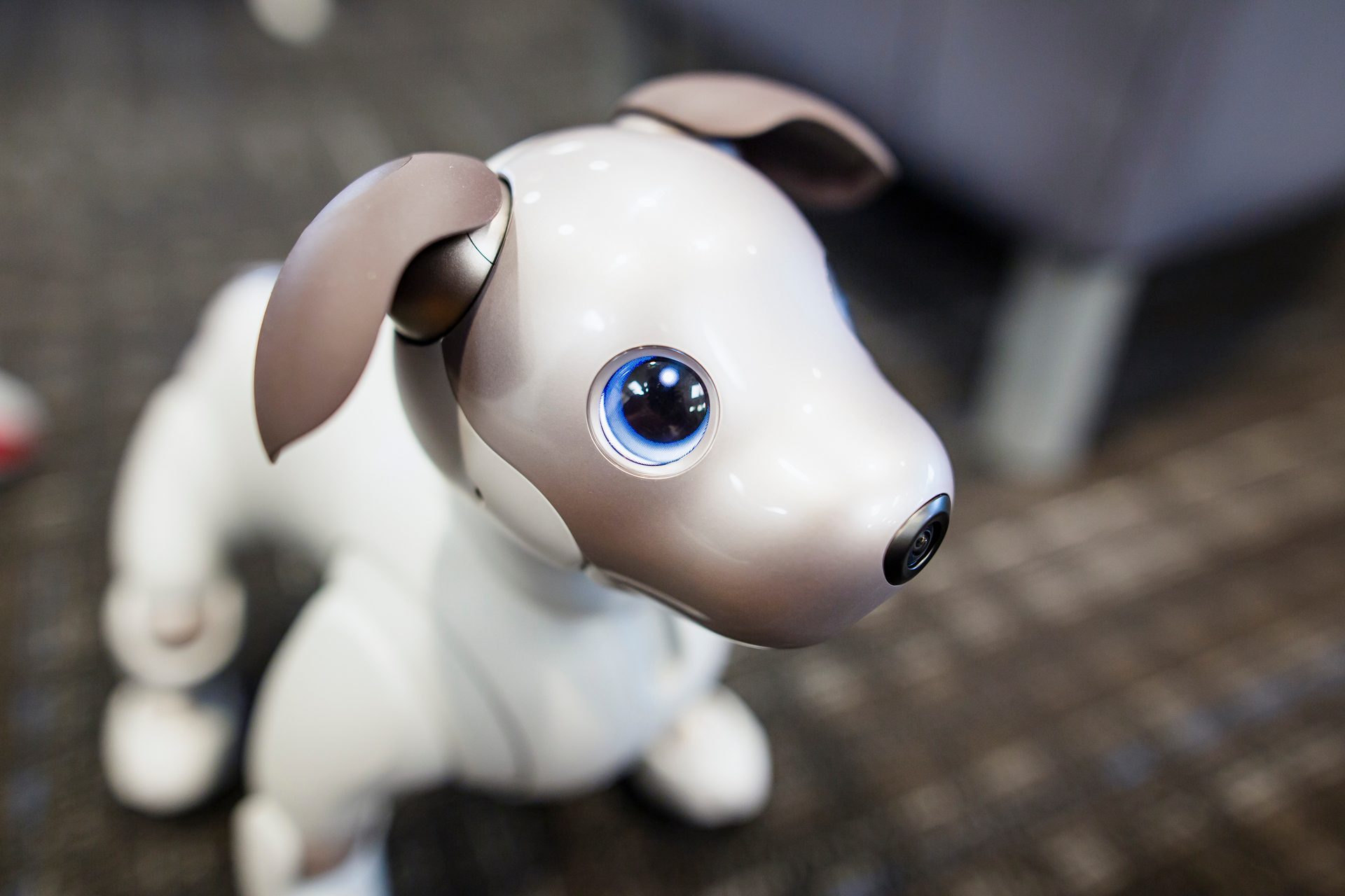 Sony Aibo Robot Dog