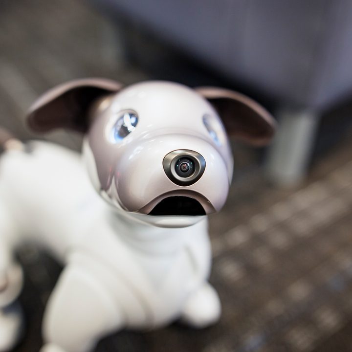 Sony Aibo Robot Dog