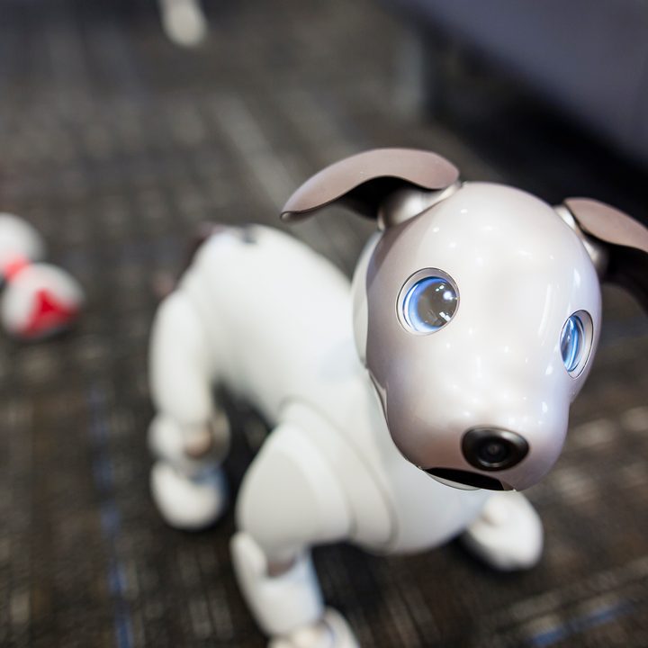 Sony Aibo Robot Dog