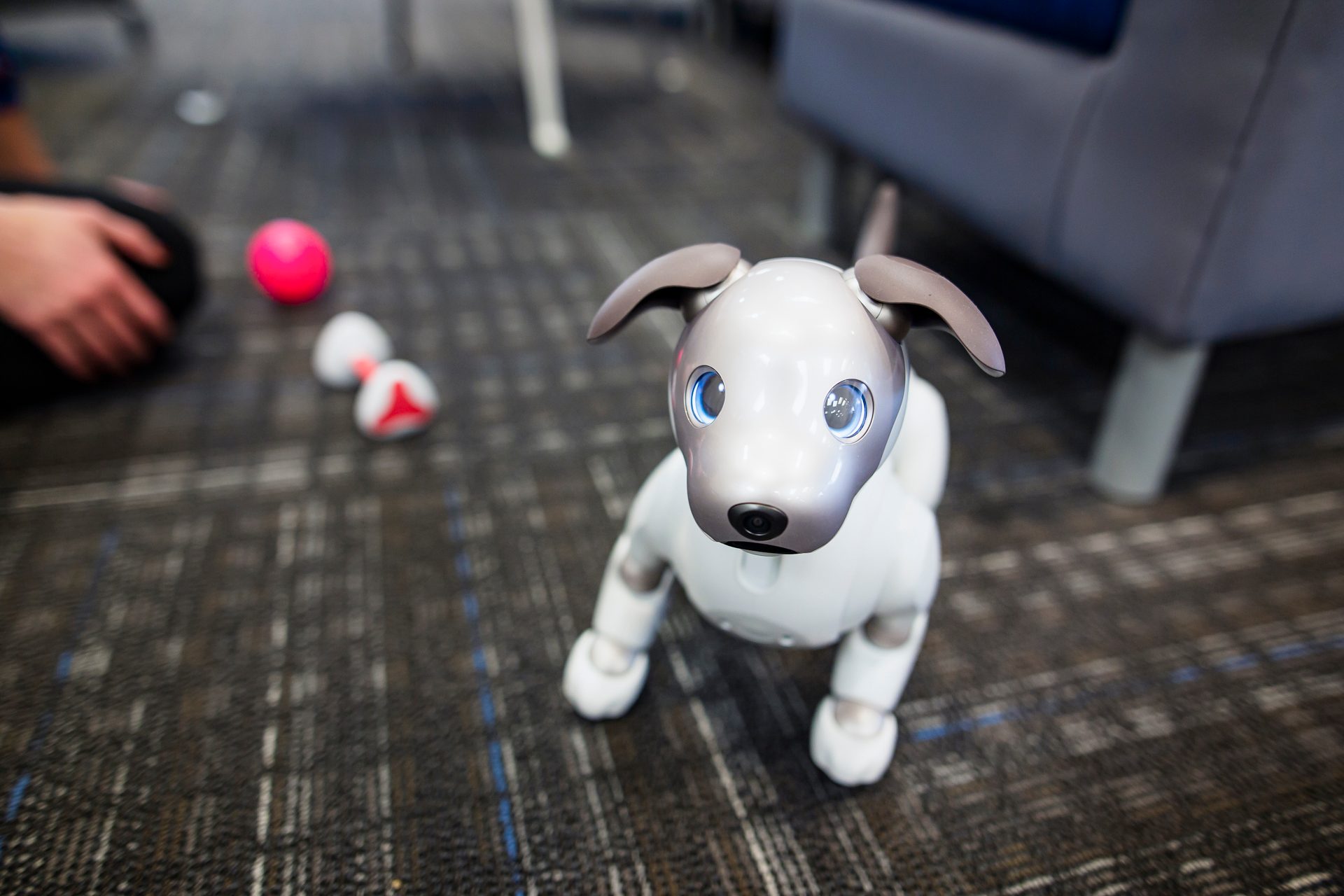 Sony Aibo Robot Dog