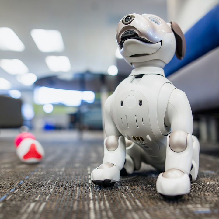 Sony Aibo Robot Dog