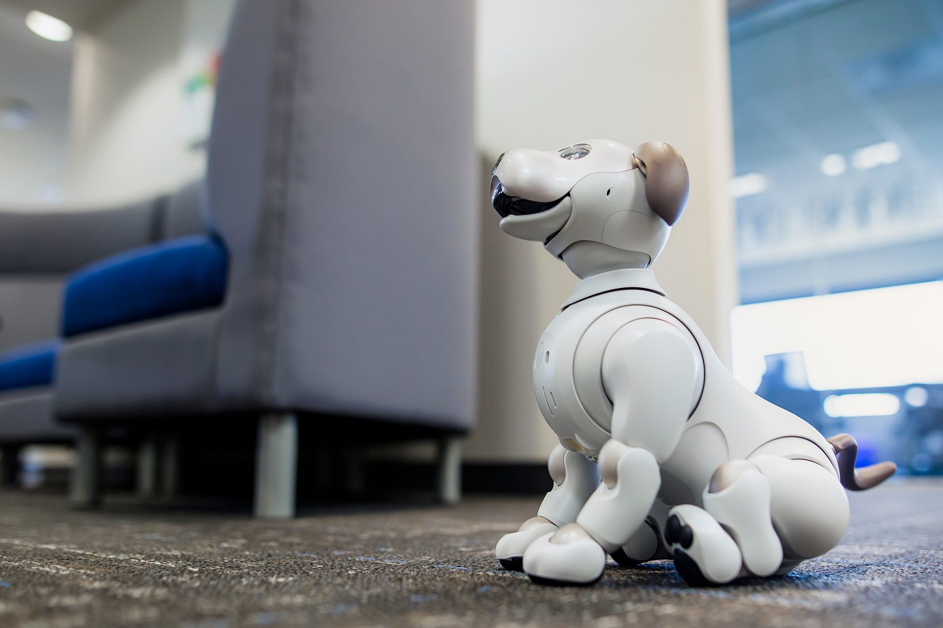 Sony Aibo Robot Dog