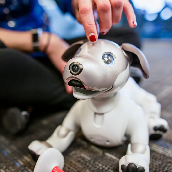 Sony Aibo Robot Dog