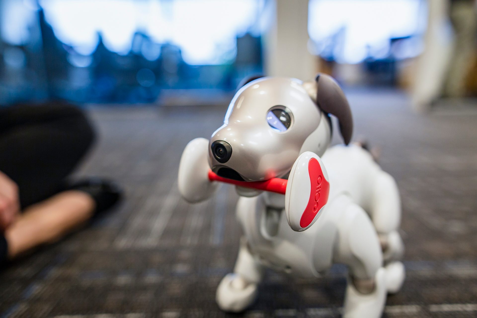 Sony Aibo Robot Dog