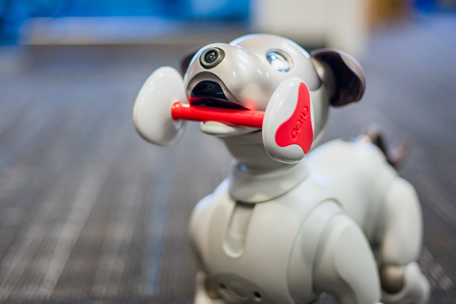 Sony Aibo Robot Dog