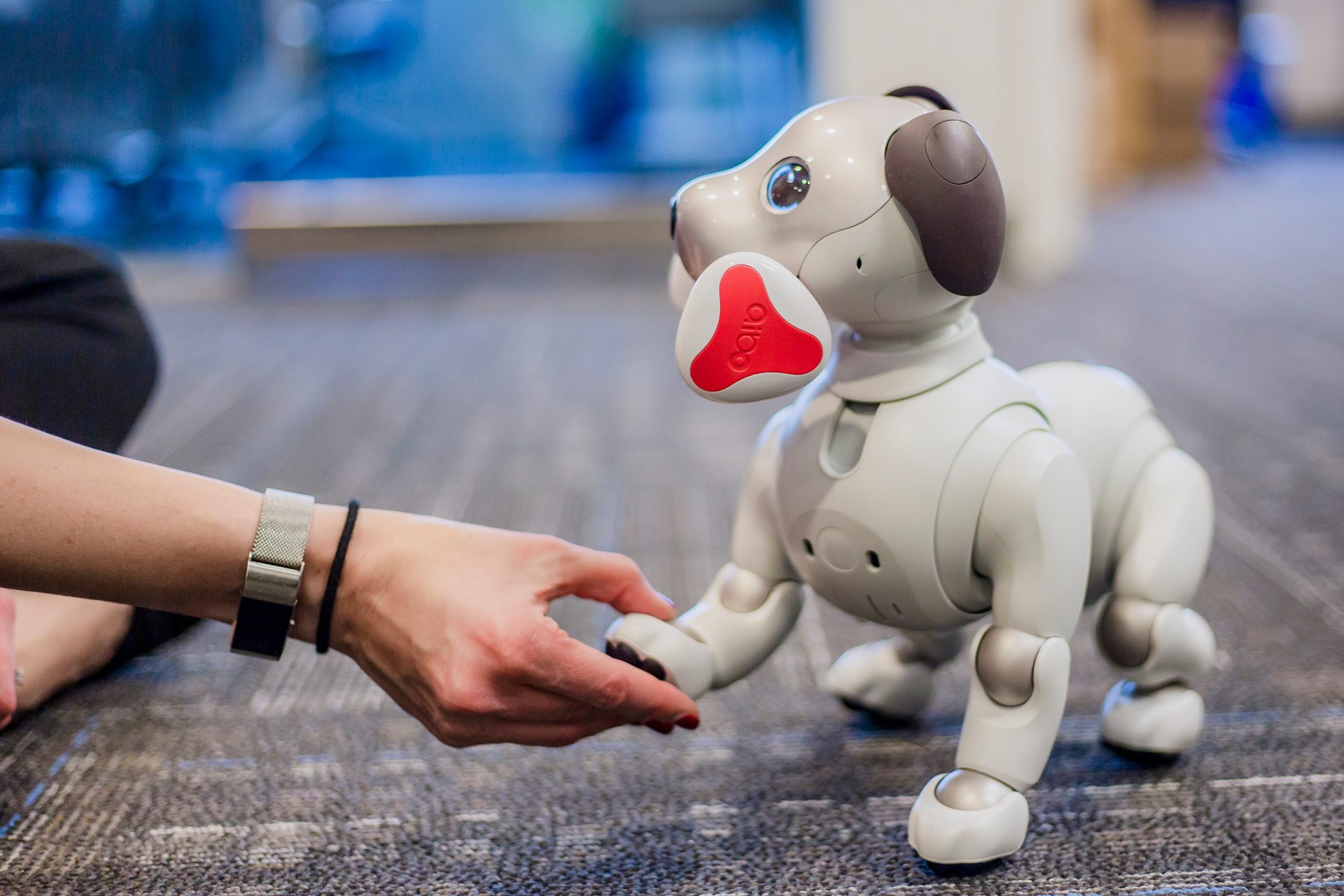 Sony Aibo Robot Dog