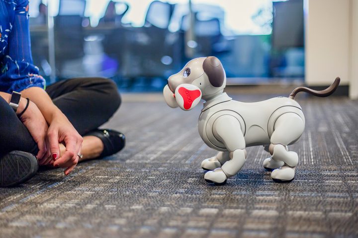 Sony Aibo Robot Dog