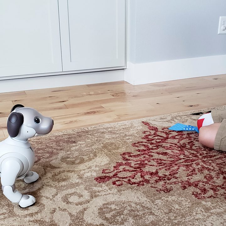 Sony Aibo Robot Dog