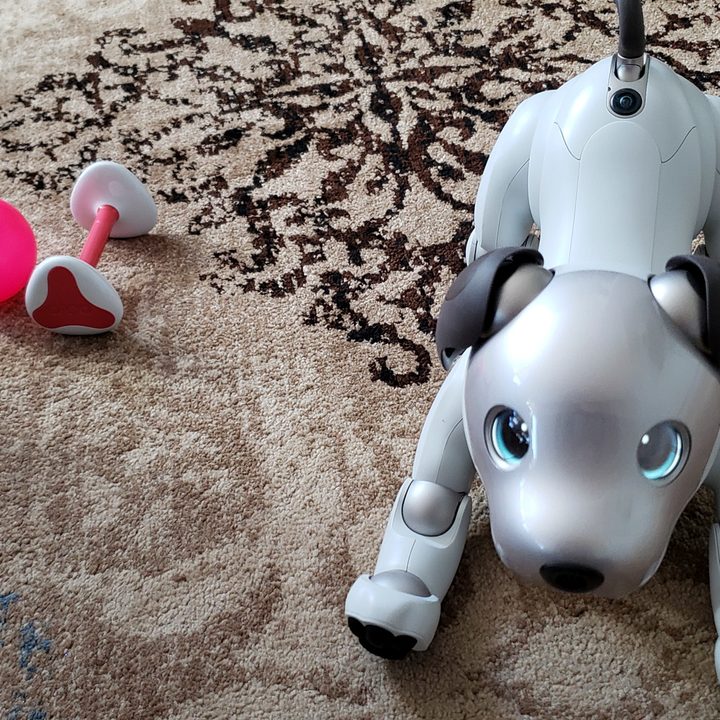 Sony Aibo Robot Dog