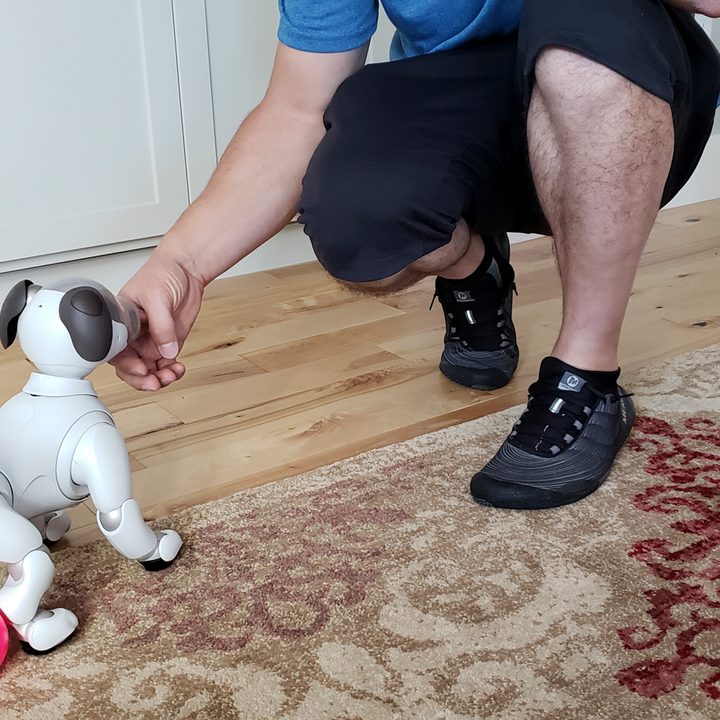 Sony Aibo Robot Dog