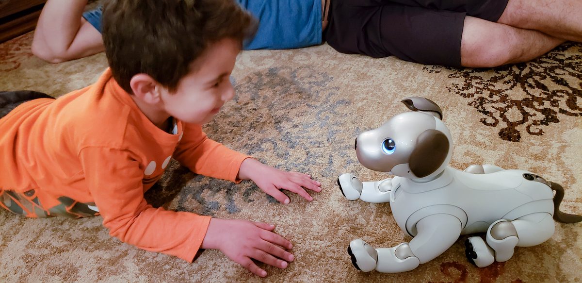 Sony Aibo Robot Dog