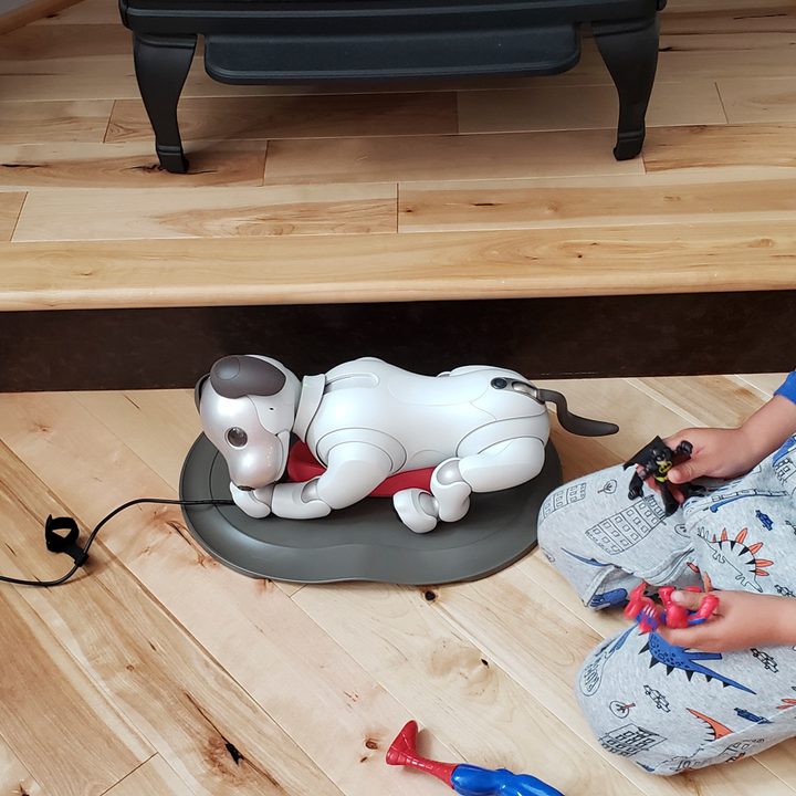 Sony Aibo Robot Dog