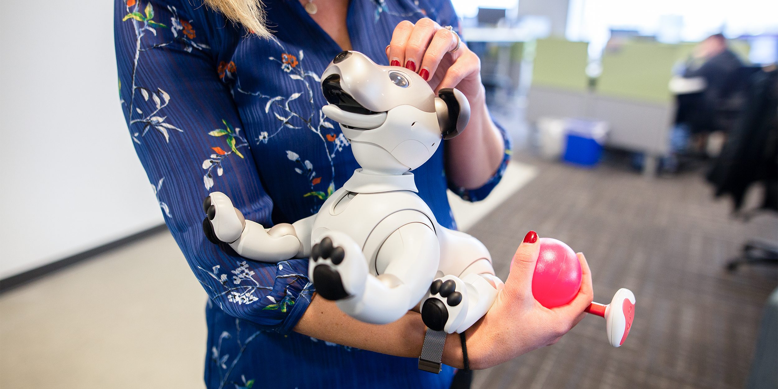 Aibo getting some pets