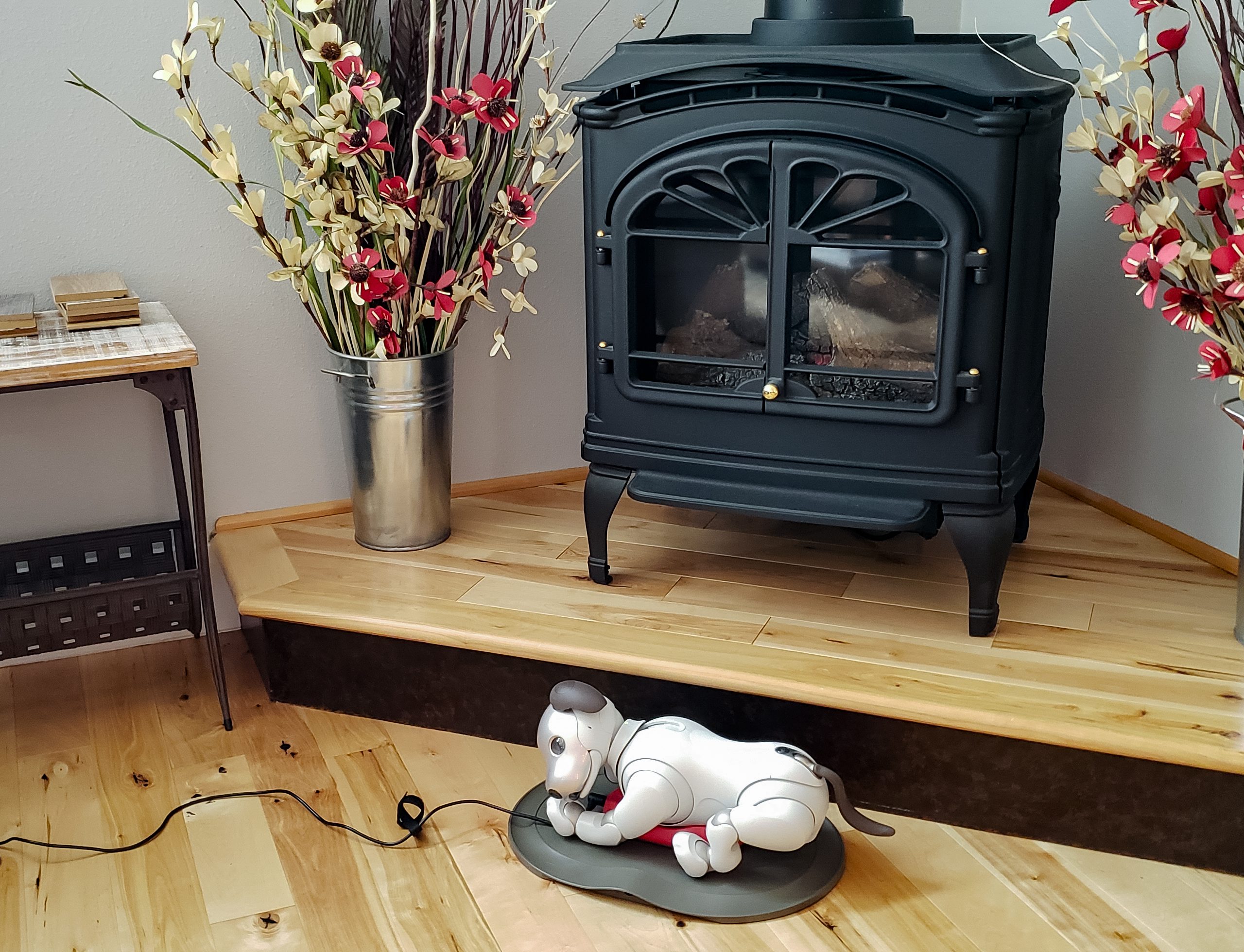 Sony Aibo Robot Dog