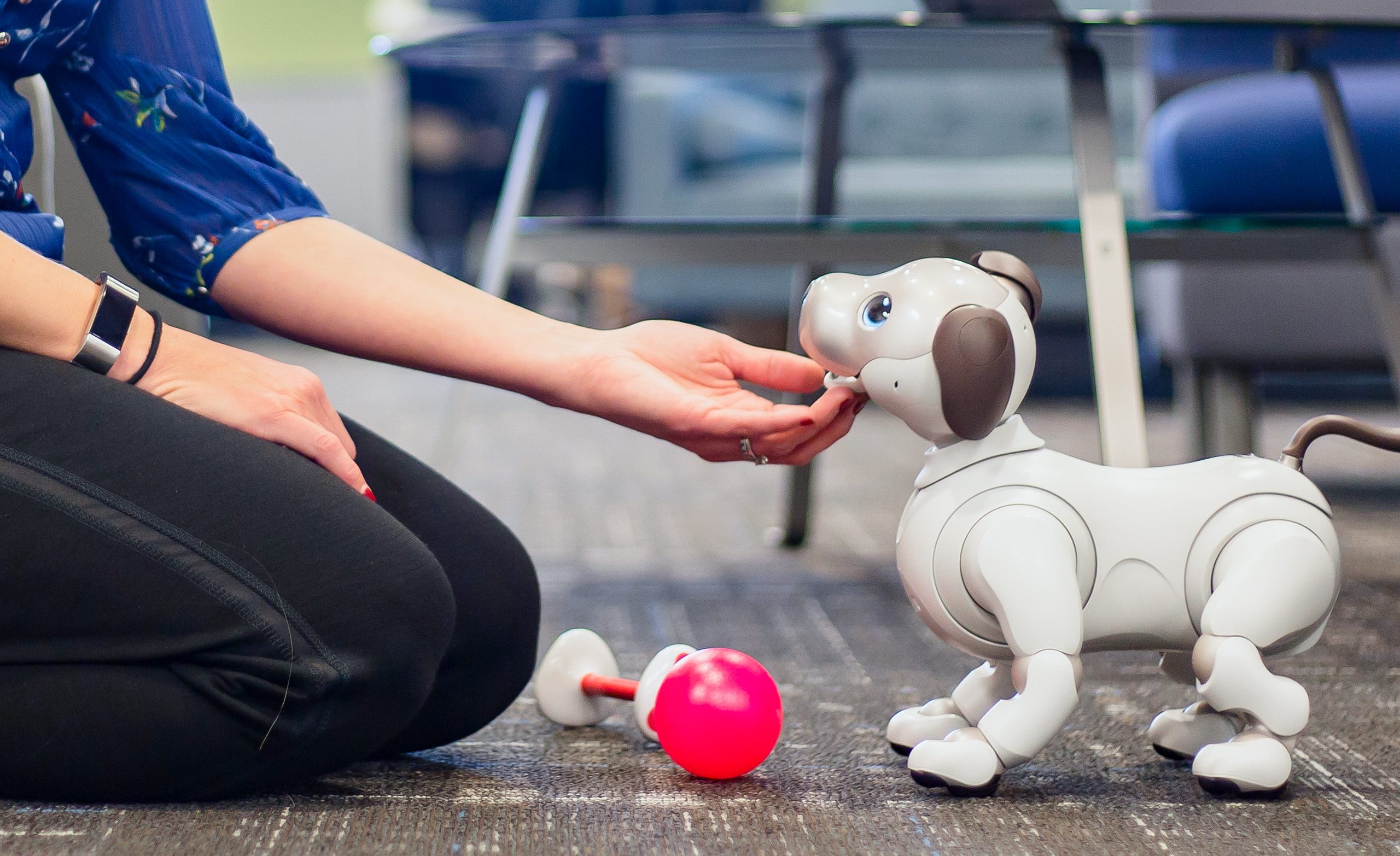 Sony Aibo Robot Dog