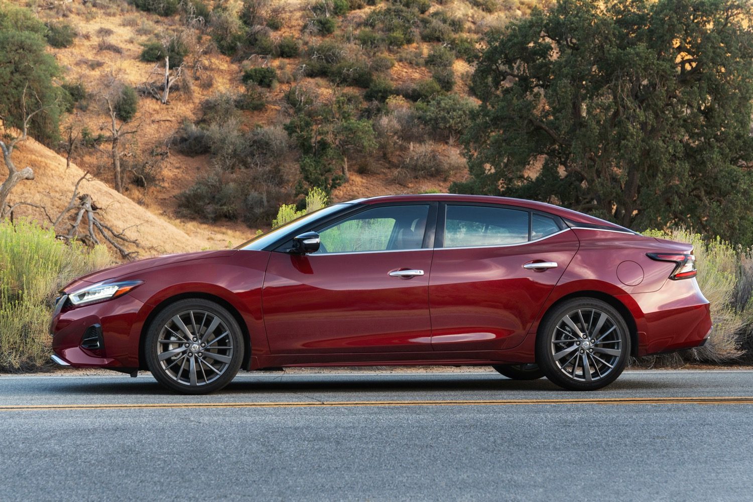 2019 Nissan Maxima