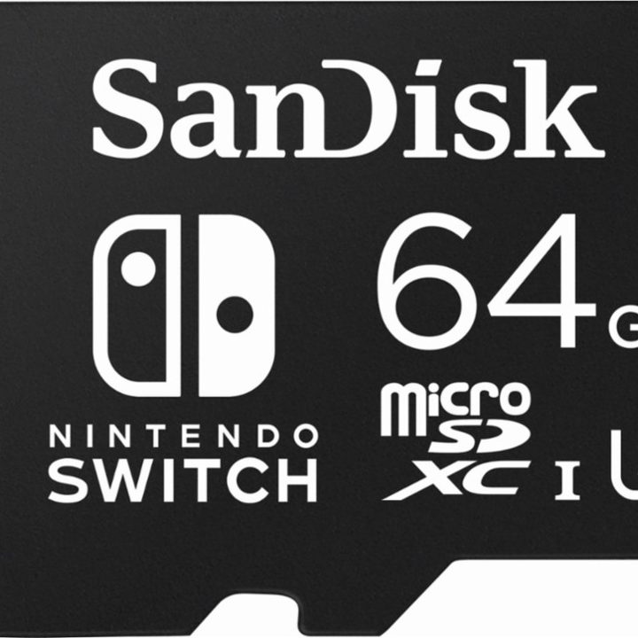 SanDsik 64GB