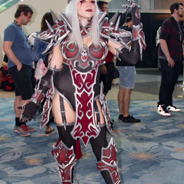 Blizzcon 2018 Best Cosplay