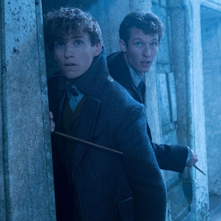 fantastic beasts the crimes of grindelwald review 2 8