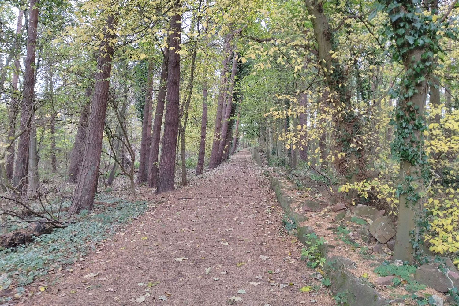 htc u12 life review camera sample gallery 3
