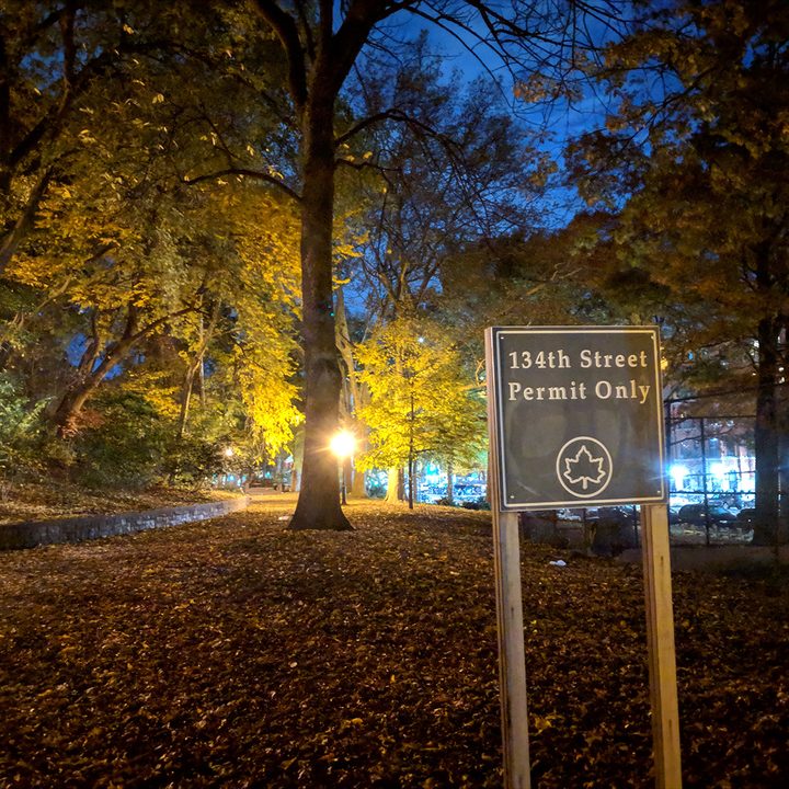 google pixel night sight park sign