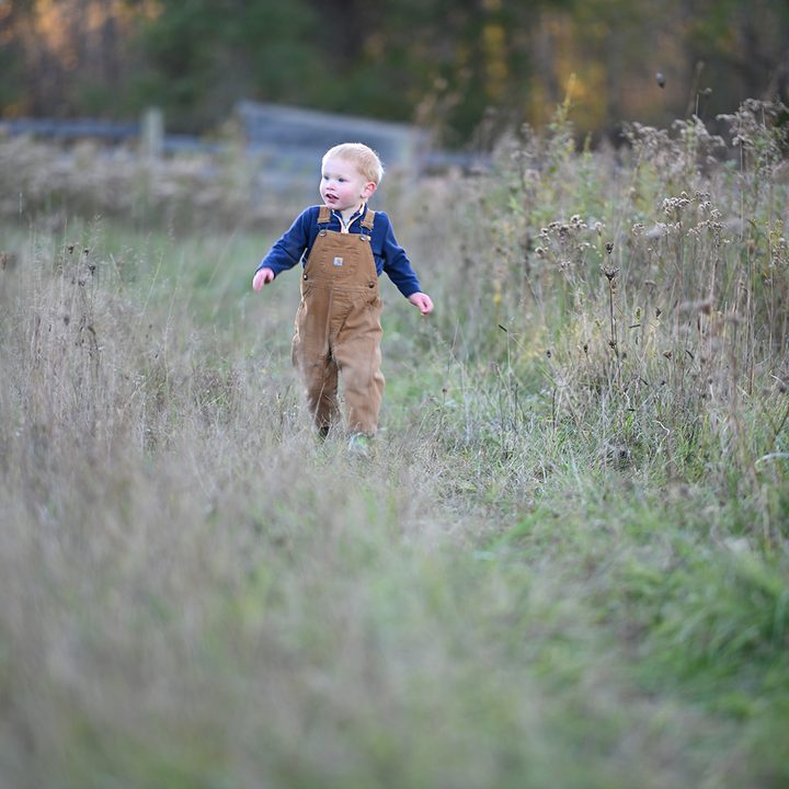nikon af s nikkor 105mm f 1 4 e ed review f14e sample