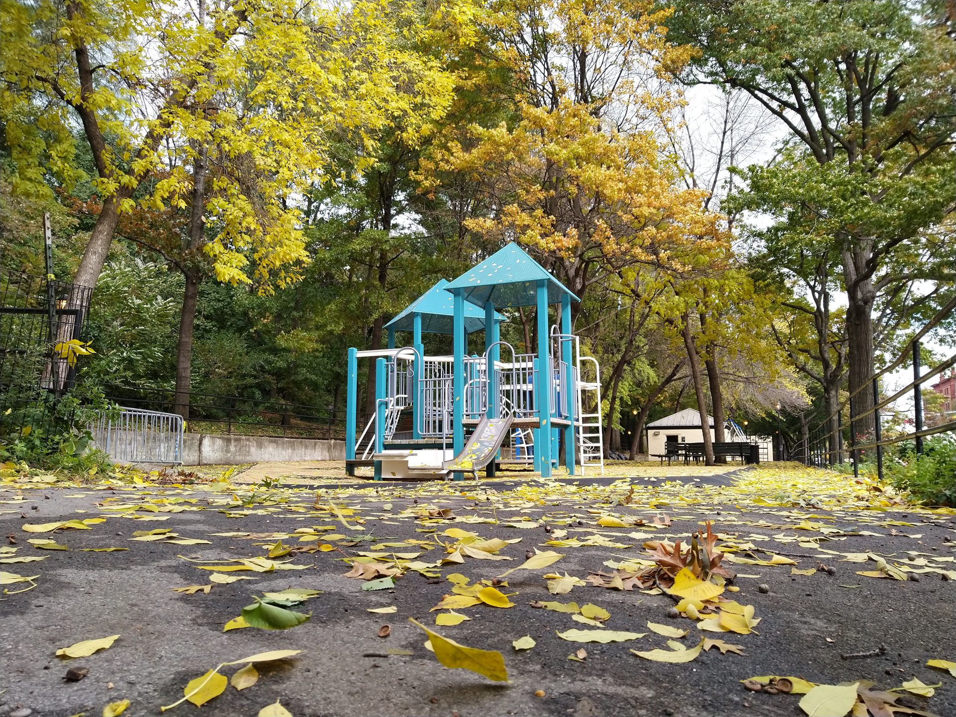 nokia 7 1 review camera samples 5803