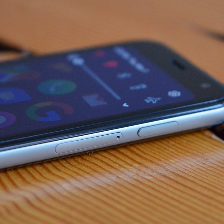 Palm