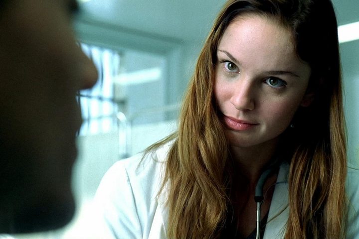 Sara Tancredi Prison Break