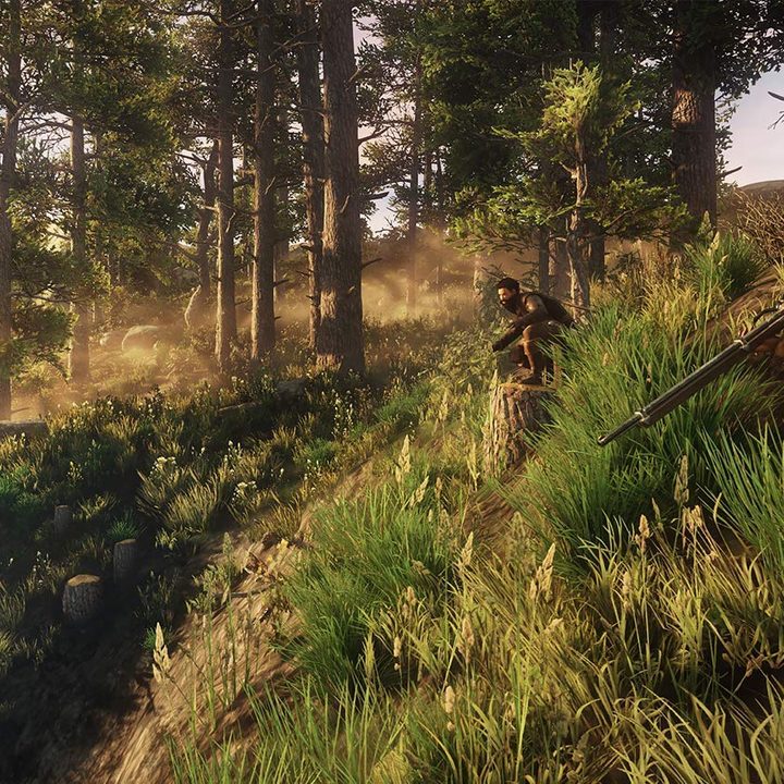 Amazon New World MMO