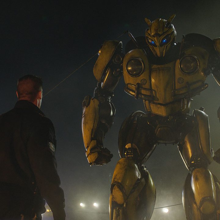 bumblebee review 16