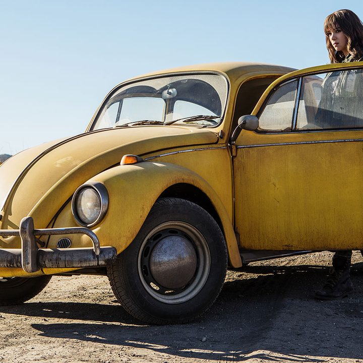 bumblebee review 24