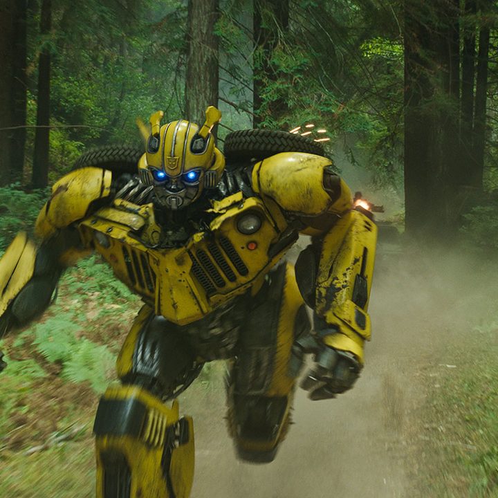 bumblebee review 8