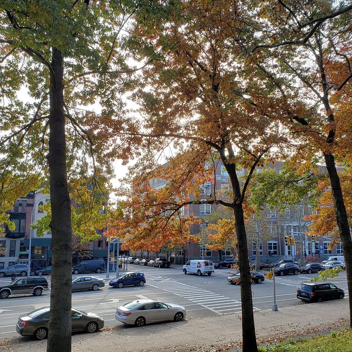 oneplus 6t vs pixel 3 galaxy s9 lg g7 camera shootout daylight 2 s 9