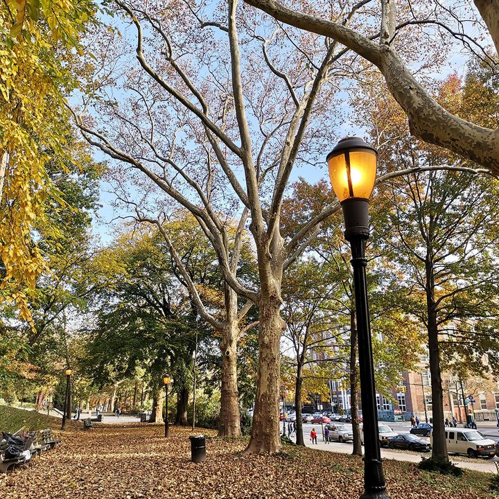 google pixel 3 night sight vs huawei mate 20 pro mode camera shootout daylight