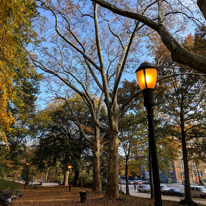 google pixel 3 night sight vs huawei mate 20 pro mode camera shootout daylight