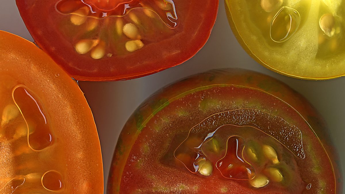 Felice Frankel Tomato slice