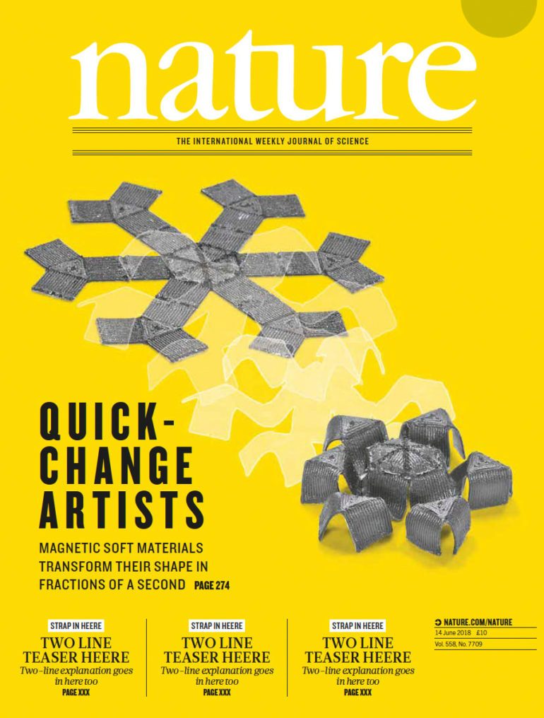 Felice Frankel Cover shots